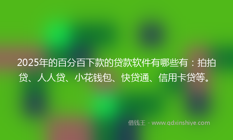 2025年的百分百下款的贷款软件有哪些有：拍拍贷、人人贷、小花钱包、快贷通、信用卡贷等。