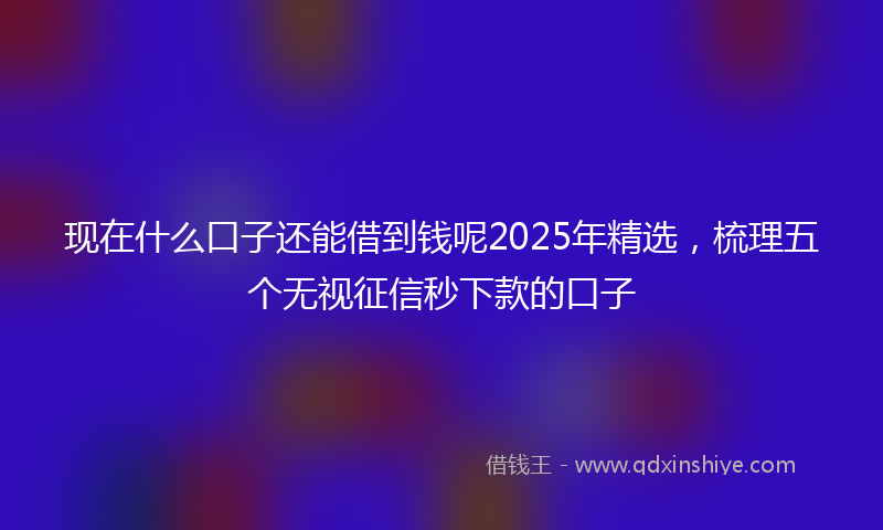 现在什么口子还能借到钱呢2025年精选，梳理五个无视征信秒下款的口子