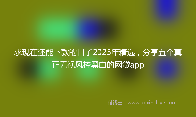 求现在还能下款的口子2025年精选，分享五个真正无视风控黑白的网贷app