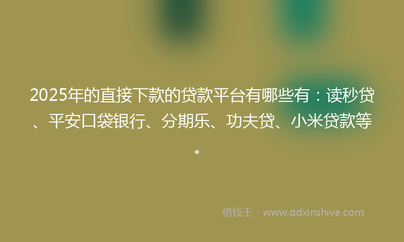 2025年的直接下款的贷款平台有哪些有：读秒贷、平安口袋银行、分期乐、功夫贷、小米贷款等。