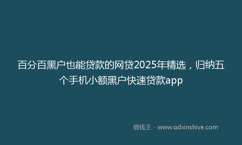 百分百黑户也能贷款的网贷2025年精选，归纳五个手机小额黑户快速贷款app