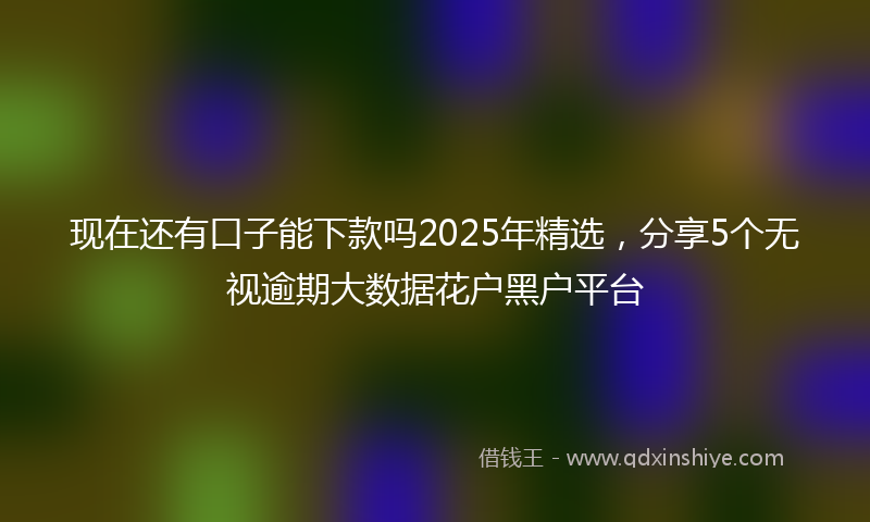 现在还有口子能下款吗2025年精选，分享5个无视逾期大数据花户黑户平台