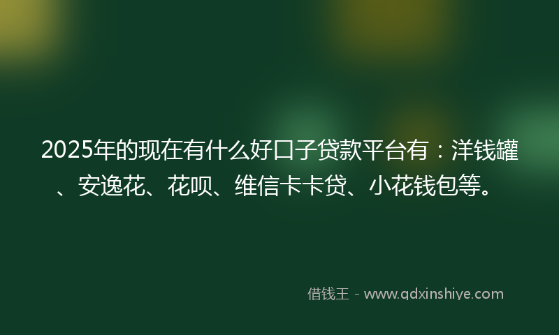 2025年的现在有什么好口子贷款平台有：洋钱罐、安逸花、花呗、维信卡卡贷、小花钱包等。
