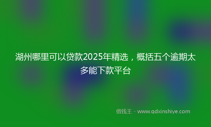 湖州哪里可以贷款2025年精选，概括五个逾期太多能下款平台