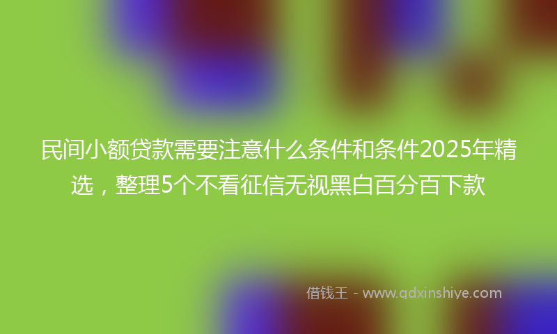 民间小额贷款需要注意什么条件和条件2025年精选，整理5个不看征信无视黑白百分百下款