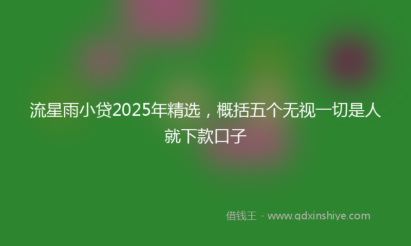 流星雨小贷2025年精选,概括五个无视一切是人就下款口子