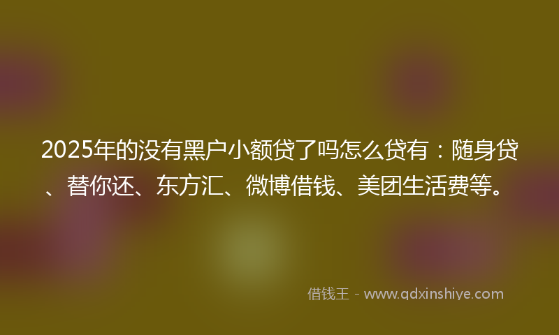 2025年的没有黑户小额贷了吗怎么贷有：随身贷、替你还、东方汇、微博借钱、美团生活费等。