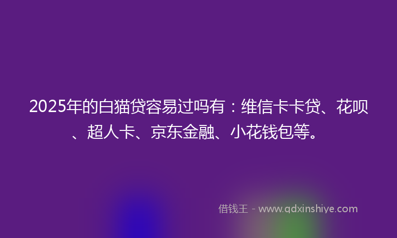2025年的白猫贷容易过吗有：维信卡卡贷、花呗、超人卡、京东金融、小花钱包等。