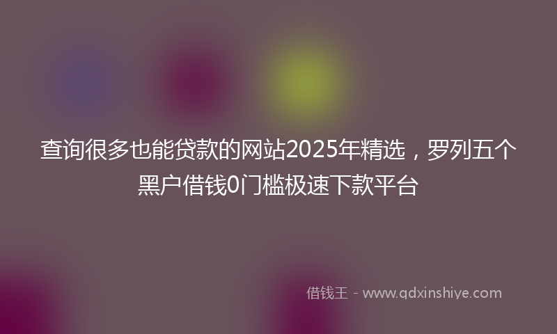 查询很多也能贷款的网站2025年精选，罗列五个黑户借钱0门槛极速下款平台