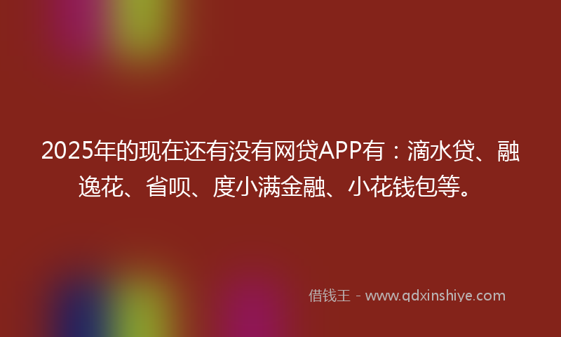 2025年的现在还有没有网贷APP有：滴水贷、融逸花、省呗、度小满金融、小花钱包等。