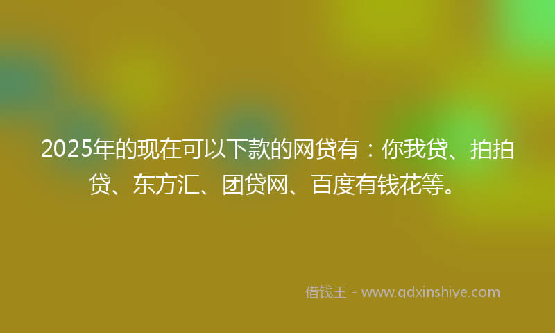 2025年的现在可以下款的网贷有：你我贷、拍拍贷、东方汇、团贷网、百度有钱花等。