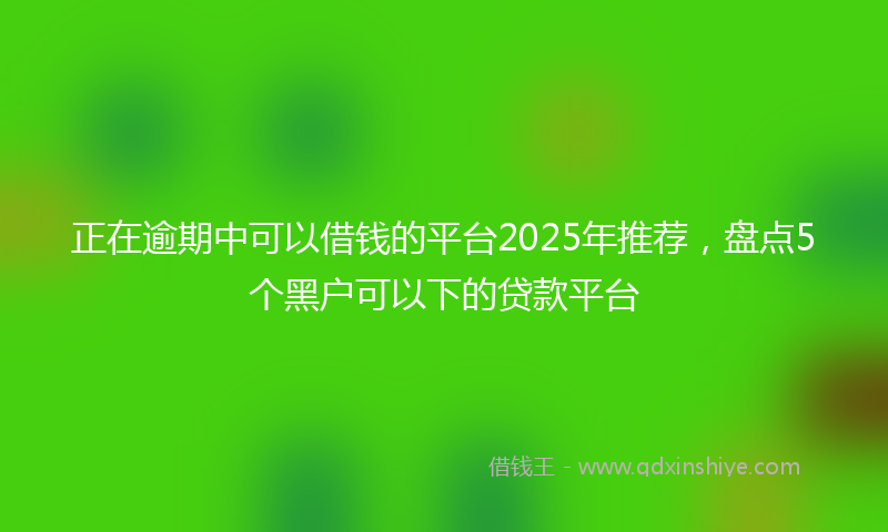正在逾期中可以借钱的平台2025年推荐，盘点5个黑户可以下的贷款平台