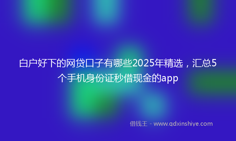 白户好下的网贷口子有哪些2025年精选，汇总5个手机身份证秒借现金的app