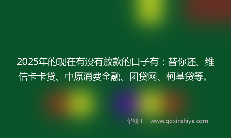 2025年的现在有没有放款的口子有：替你还、维信卡卡贷、中原消费金融、团贷网、柯基贷等。
