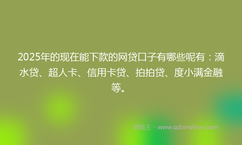 2025年的现在能下款的网贷口子有哪些呢有：滴水贷、超人卡、信用卡贷、拍拍贷、度小满金融等。