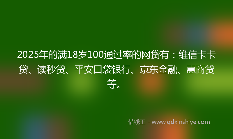 2025年的满18岁100通过率的网贷有：维信卡卡贷、读秒贷、平安口袋银行、京东金融、惠商贷等。