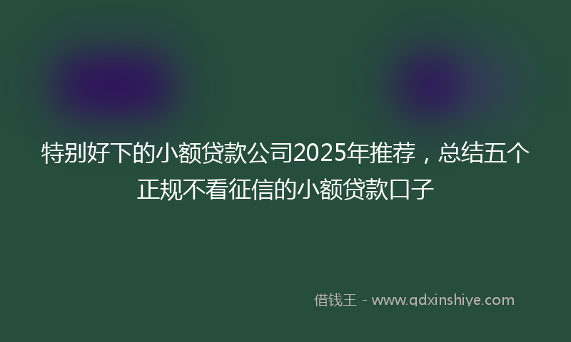 特别好下的小额贷款公司2025年推荐，总结五个正规不看征信的小额贷款口子
