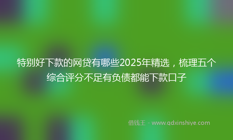 特别好下款的网贷有哪些2025年精选，梳理五个综合评分不足有负债都能下款口子