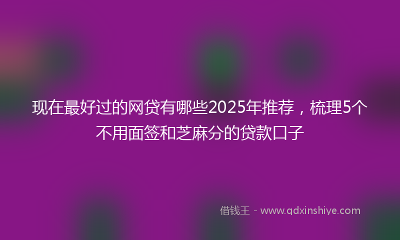 现在最好过的网贷有哪些2025年推荐，梳理5个不用面签和芝麻分的贷款口子