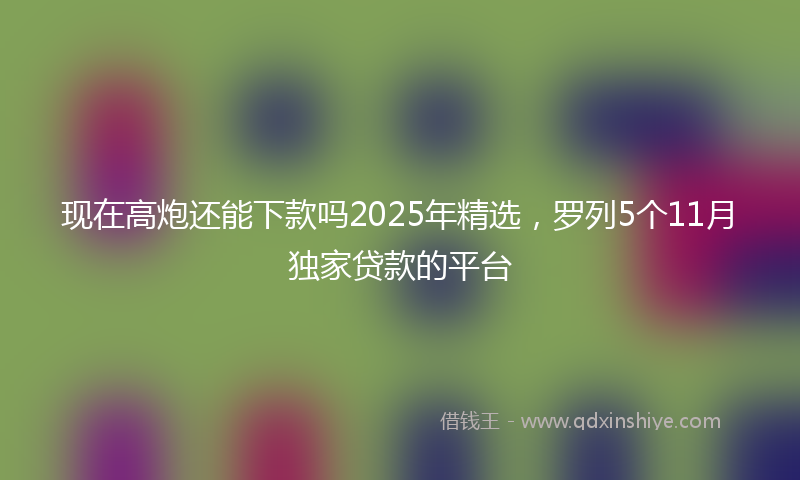 现在高炮还能下款吗2025年精选，罗列5个11月独家贷款的平台