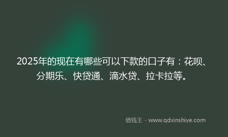 2025年的现在有哪些可以下款的口子有：花呗、分期乐、快贷通、滴水贷、拉卡拉等。