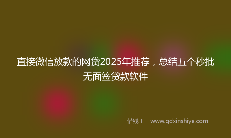 直接微信放款的网贷2025年推荐，总结五个秒批无面签贷款软件