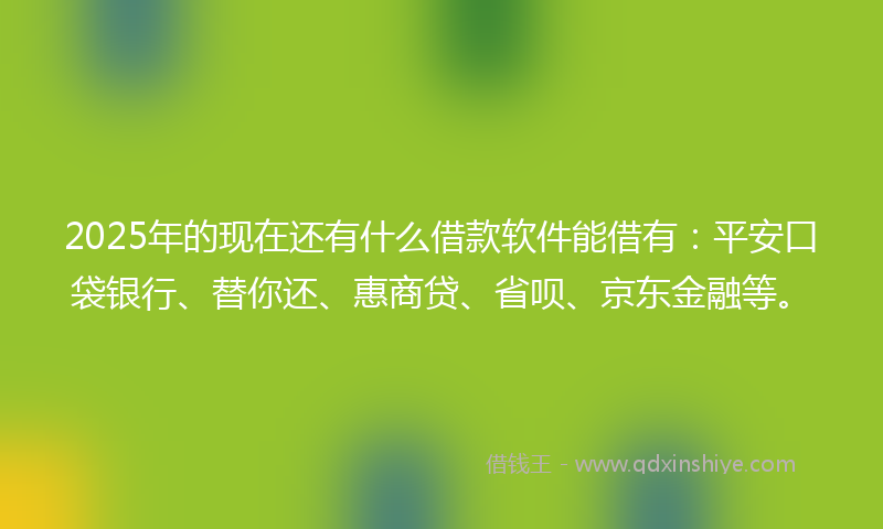 2025年的现在还有什么借款软件能借有：平安口袋银行、替你还、惠商贷、省呗、京东金融等。