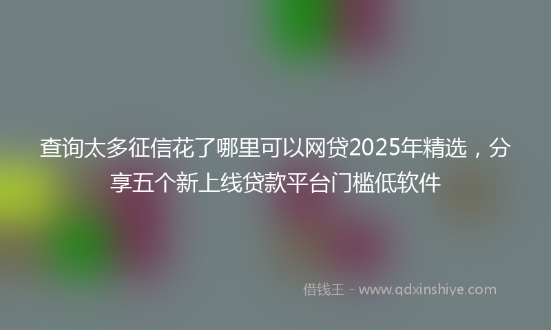 查询太多征信花了哪里可以网贷2025年精选，分享五个新上线贷款平台门槛低软件