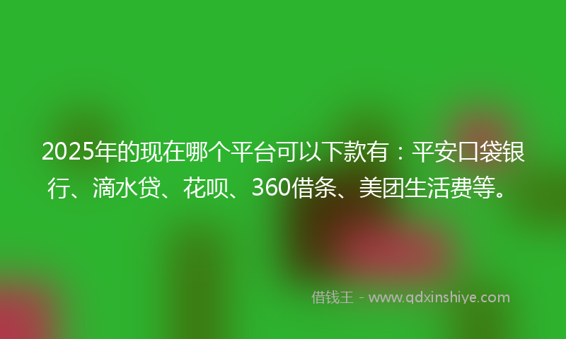 2025年的现在哪个平台可以下款有：平安口袋银行、滴水贷、花呗、360借条、美团生活费等。
