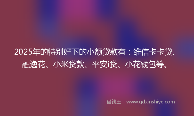 2025年的特别好下的小额贷款有：维信卡卡贷、融逸花、小米贷款、平安i贷、小花钱包等。
