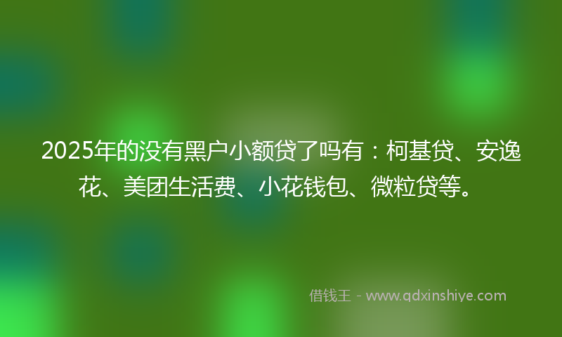 2025年的没有黑户小额贷了吗有:柯基贷、安逸花、美团生活费、小花钱包、微粒贷等。