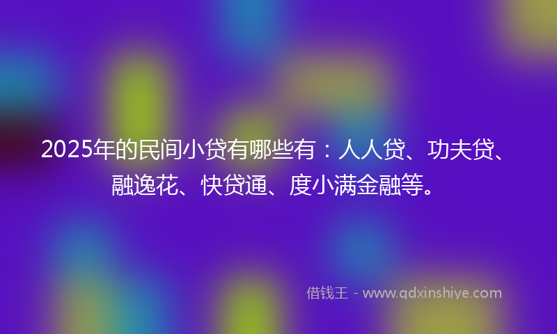2025年的民间小贷有哪些有：人人贷、功夫贷、融逸花、快贷通、度小满金融等。