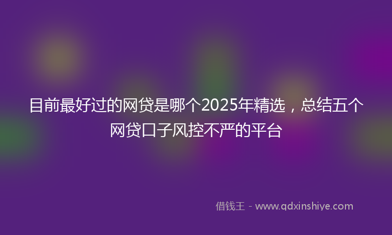 目前最好过的网贷是哪个2025年精选，总结五个网贷口子风控不严的平台