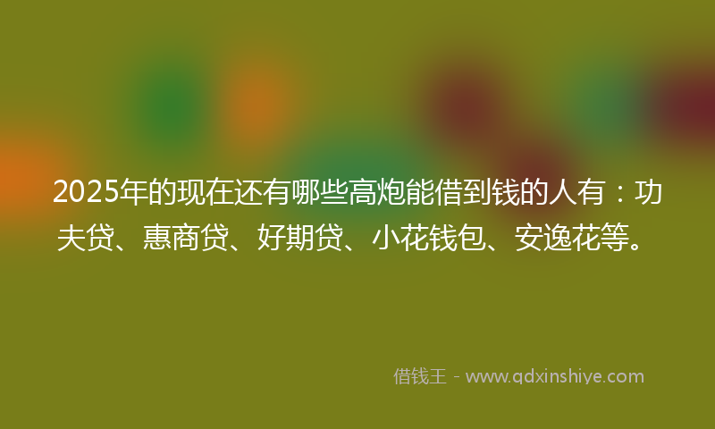 2025年的现在还有哪些高炮能借到钱的人有：功夫贷、惠商贷、好期贷、小花钱包、安逸花等。
