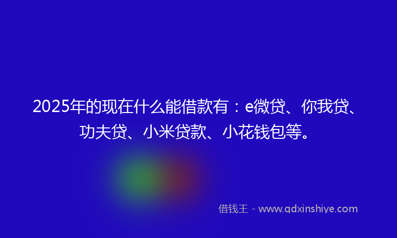 2025年的现在什么能借款有：e微贷、你我贷、功夫贷、小米贷款、小花钱包等。