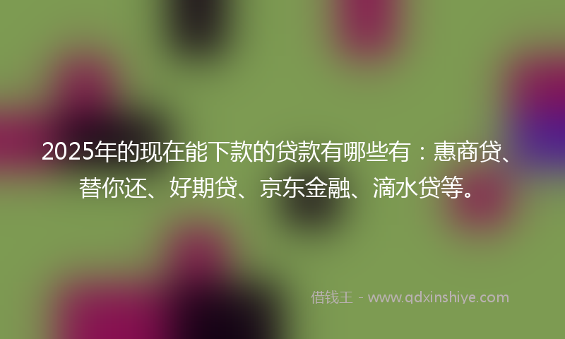 2025年的现在能下款的贷款有哪些有：惠商贷、替你还、好期贷、京东金融、滴水贷等。