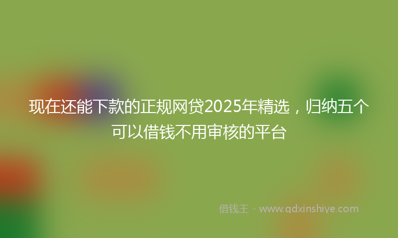 现在还能下款的正规网贷2025年精选，归纳五个可以借钱不用审核的平台