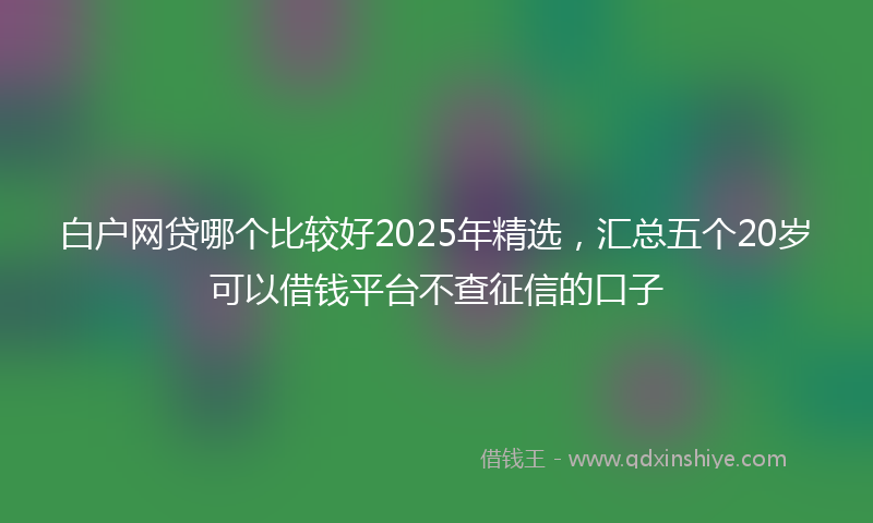 白户网贷哪个比较好2025年精选，汇总五个20岁可以借钱平台不查征信的口子