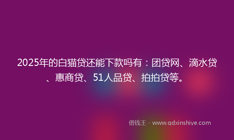 2025年的白猫贷还能下款吗有:团贷网、滴水贷、惠商贷、51人品贷、拍拍贷等。