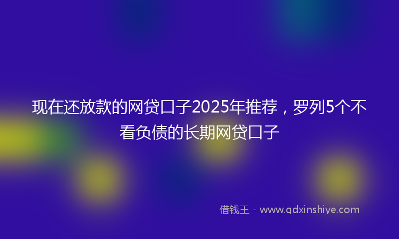 现在还放款的网贷口子2025年推荐，罗列5个不看负债的长期网贷口子
