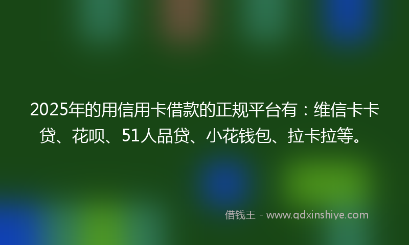 2025年的用信用卡借款的正规平台有：维信卡卡贷、花呗、51人品贷、小花钱包、拉卡拉等。