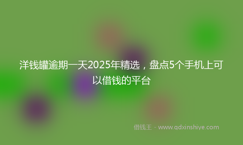 洋钱罐逾期一天2025年精选，盘点5个手机上可以借钱的平台