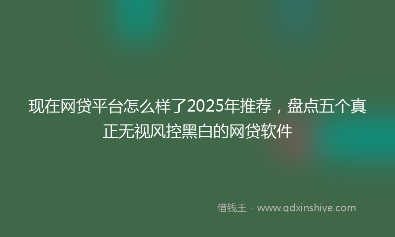 现在网贷平台怎么样了2025年推荐，盘点五个真正无视风控黑白的网贷软件