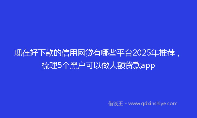 现在好下款的信用网贷有哪些平台2025年推荐，梳理5个黑户可以做大额贷款app
