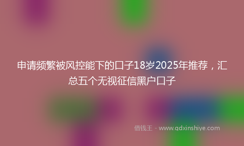 申请频繁被风控能下的口子18岁2025年推荐，汇总五个无视征信黑户口子