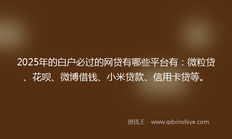 2025年的白户必过的网贷有哪些平台有：微粒贷、花呗、微博借钱、小米贷款、信用卡贷等。