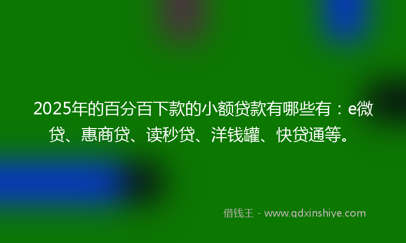 2025年的百分百下款的小额贷款有哪些有：e微贷、惠商贷、读秒贷、洋钱罐、快贷通等。