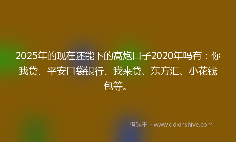 2025年的现在还能下的高炮口子2020年吗有：你我贷、平安口袋银行、我来贷、东方汇、小花钱包等。