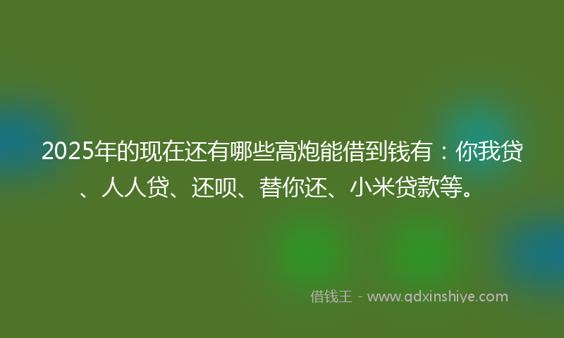 2025年的现在还有哪些高炮能借到钱有：你我贷、人人贷、还呗、替你还、小米贷款等。