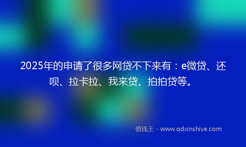 2025年的申请了很多网贷不下来有：e微贷、还呗、拉卡拉、我来贷、拍拍贷等。